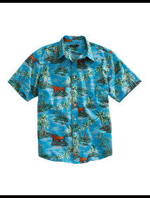 Tin Haul Short Sleeve Vintage Shirt ~ VINTAGE HAWAIIAN